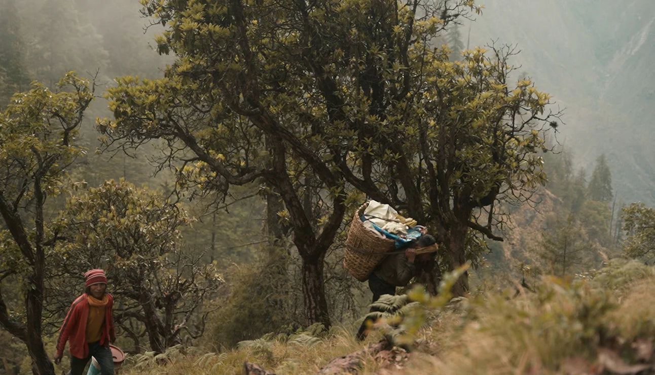 The Heavy Climb Back.