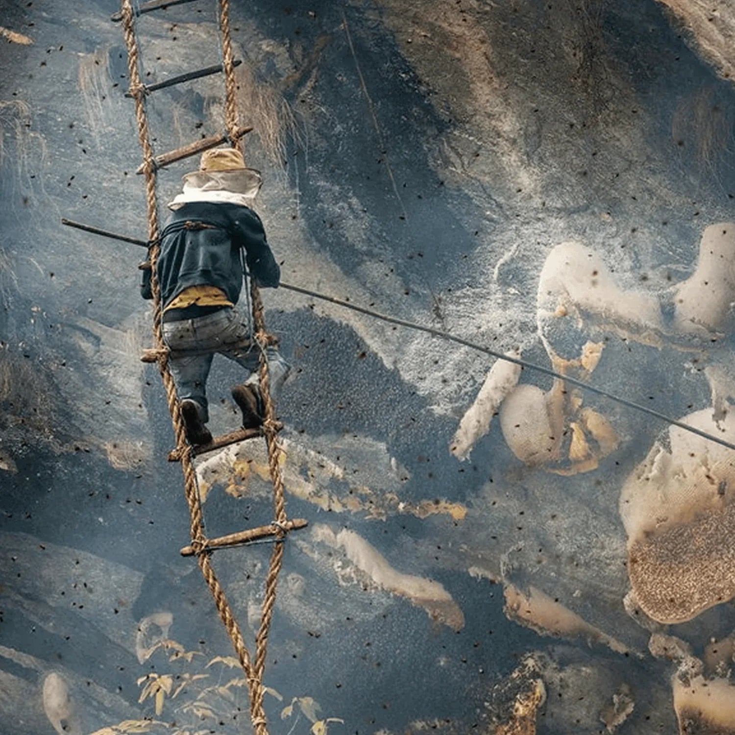 Climbing High Cliffs