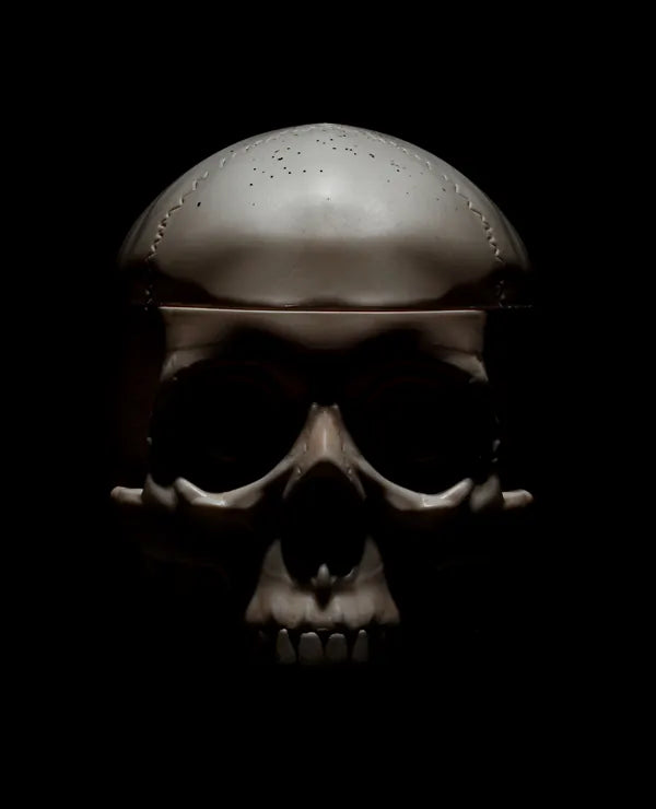 Skull in the dark