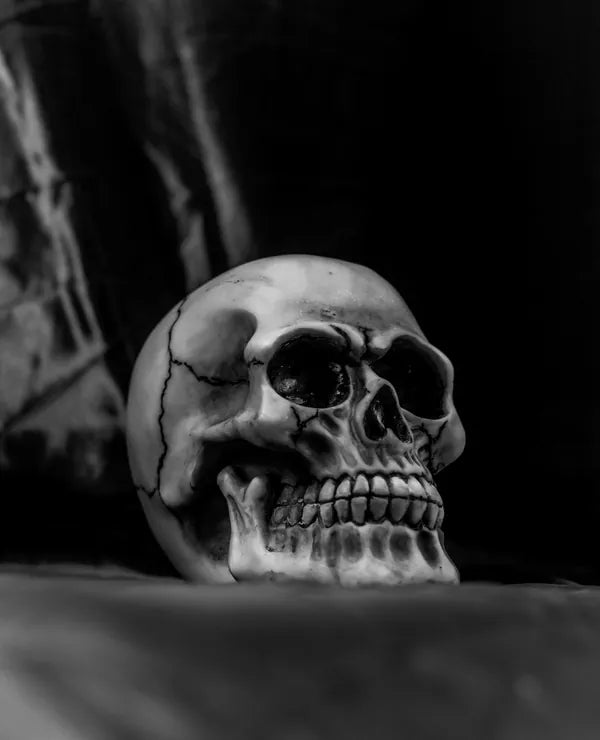 Skull on a dark stone ledge