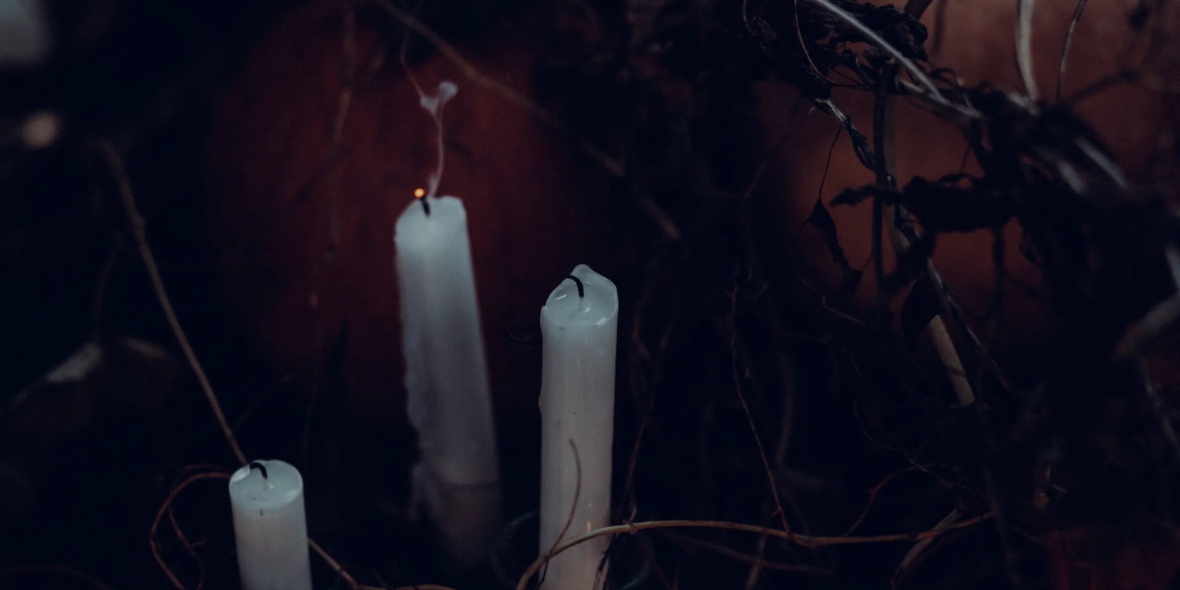White candles burning between dark branches