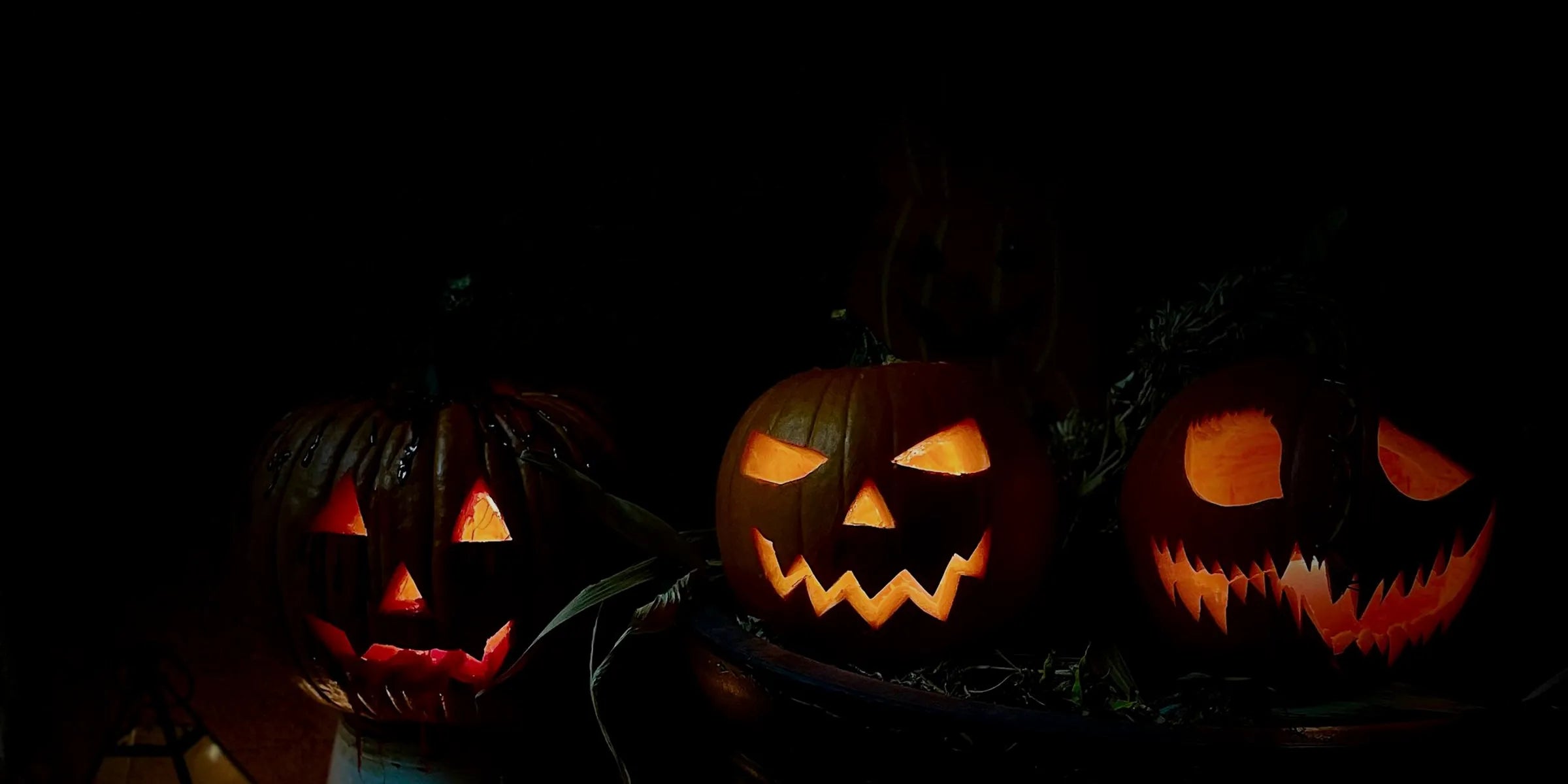 Row of glowing jack-o-lanterns in the dark