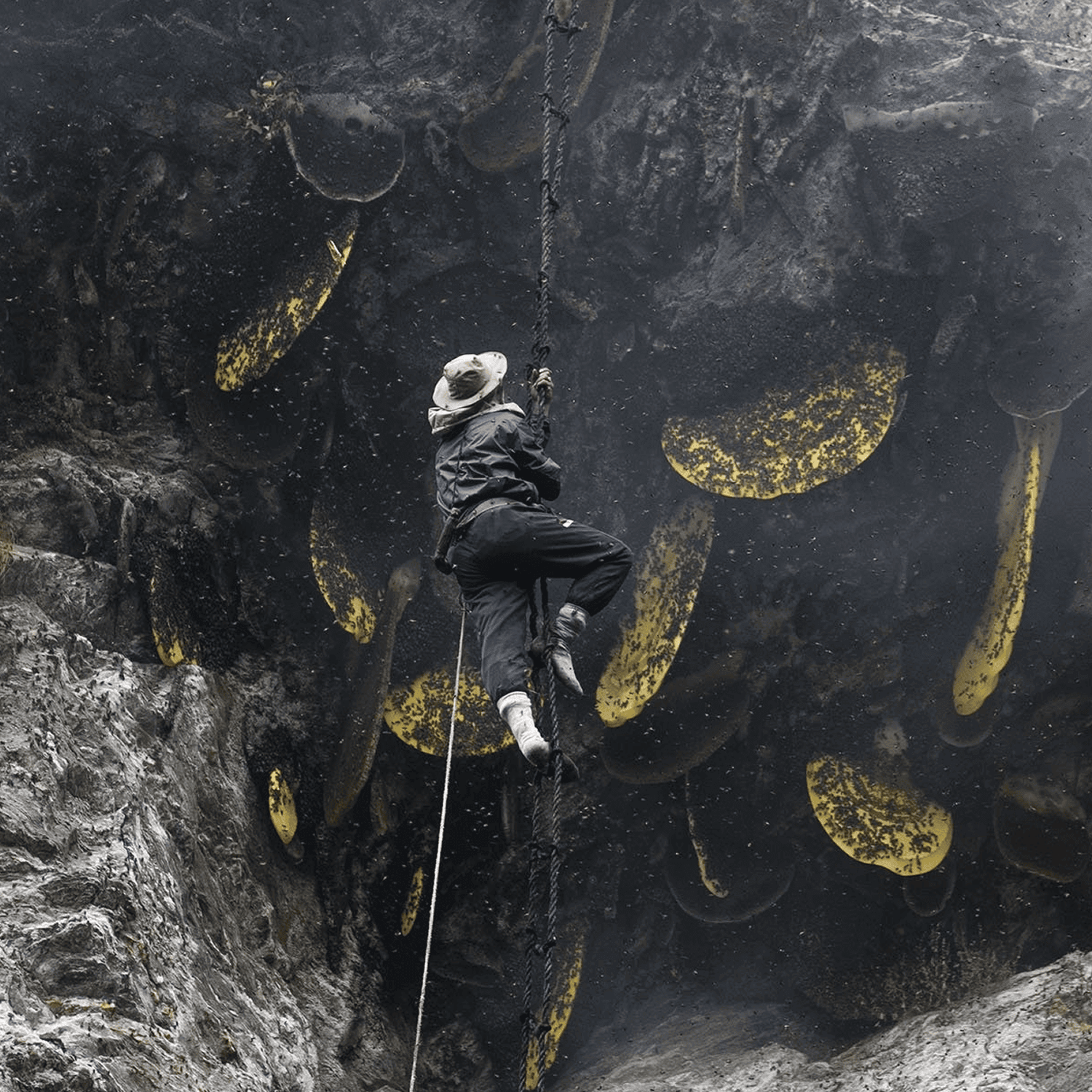 छत्ते को धुआँ देना