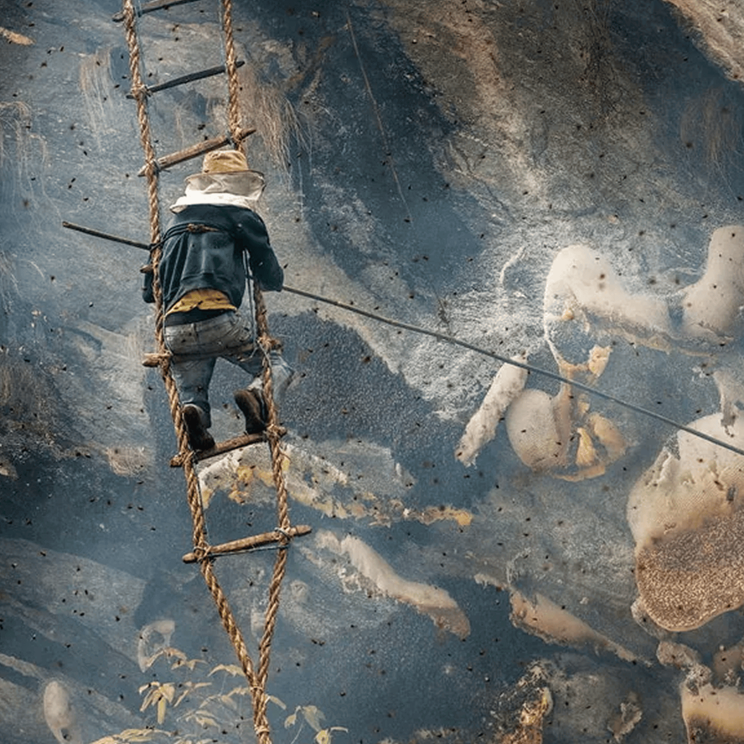 攀登高耸的悬崖